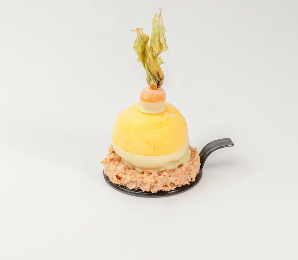 Resources/1/قطعة من آيس كريم المانجو.webp